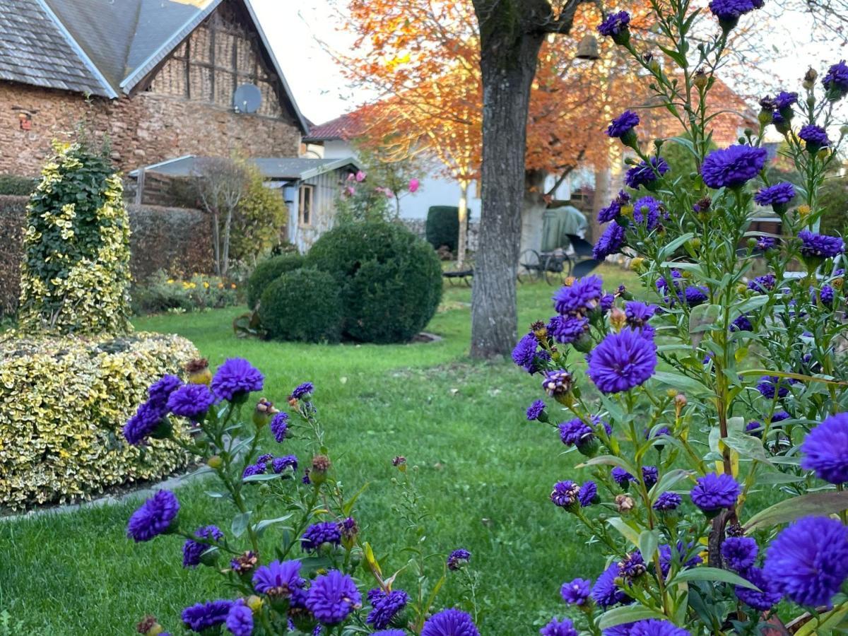 Haus-Hoeppches Blankenheim  Extérieur photo